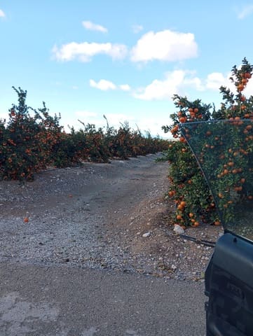 Finca/Landhuis te koop in Cuevas del Almanzora - € 15.000.000 (Ref: 9495093)