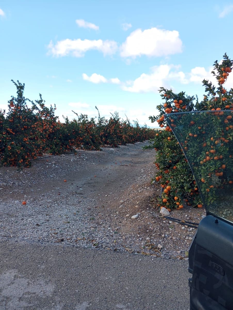 Finca/Landhuis te koop in Cuevas del Almanzora - € 15.000.000 (Ref: 9495093)