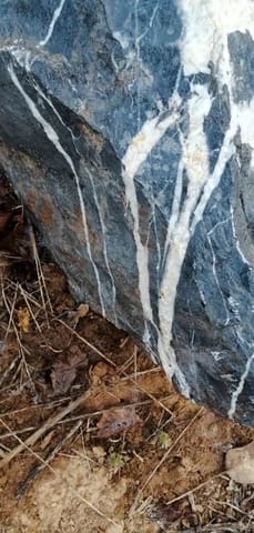 Business for sale in Toledo city - € 6,000,000 (Ref: 9495096)