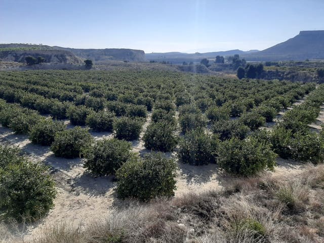 Finca/Casa Rural en El Bacarot, Alicante / Alacant ciudad en venta - 24.000.000 € (Ref: 9495097)