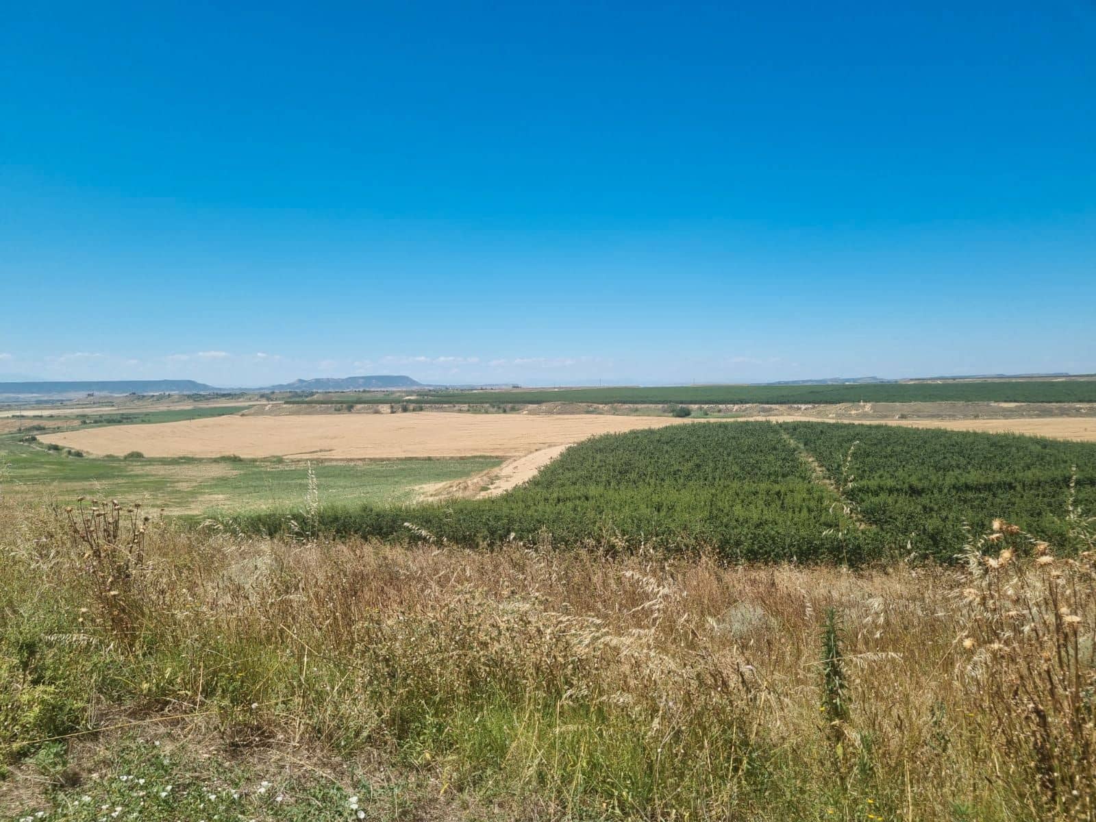 Finca/Hus på landet till salu i Murcia stad - 4 500 000 € (Ref: 9495098)