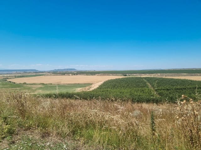 Finca/Hus på landet till salu i La Fama, Murcia stad - 4 500 000 € (Ref: 9495098)