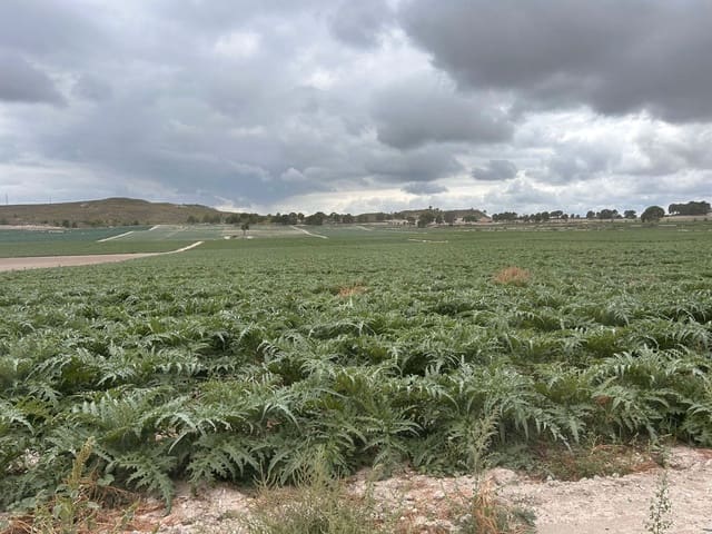 Finca/Hus på landet till salu i La Fama, Murcia stad - 4 500 000 € (Ref: 9495098)