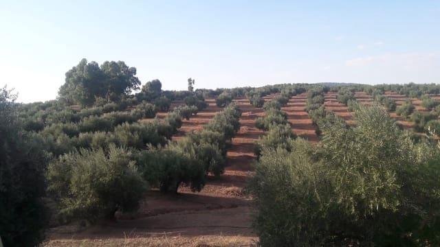 Finca/Country House for sale in Jaén city - € 3,800,000 (Ref: 9495099)