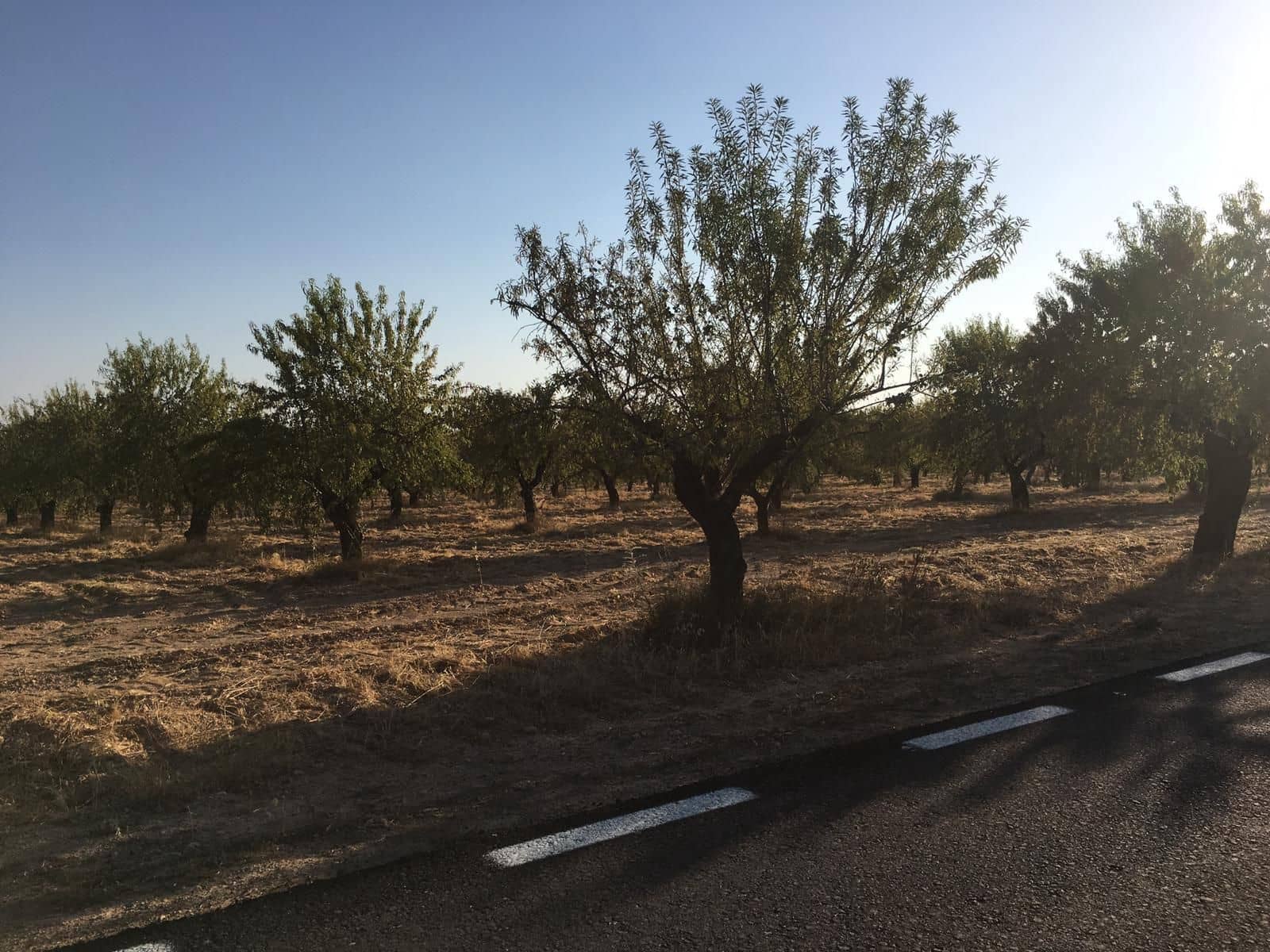 Finca/Landehus til salg i Badajoz by - € 6.000.000 (Ref: 9495100)