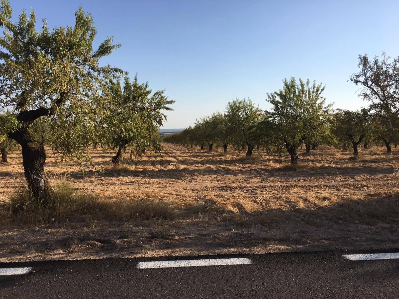 Finca/Landehus til salg i Badajoz by - € 6.000.000 (Ref: 9495100)