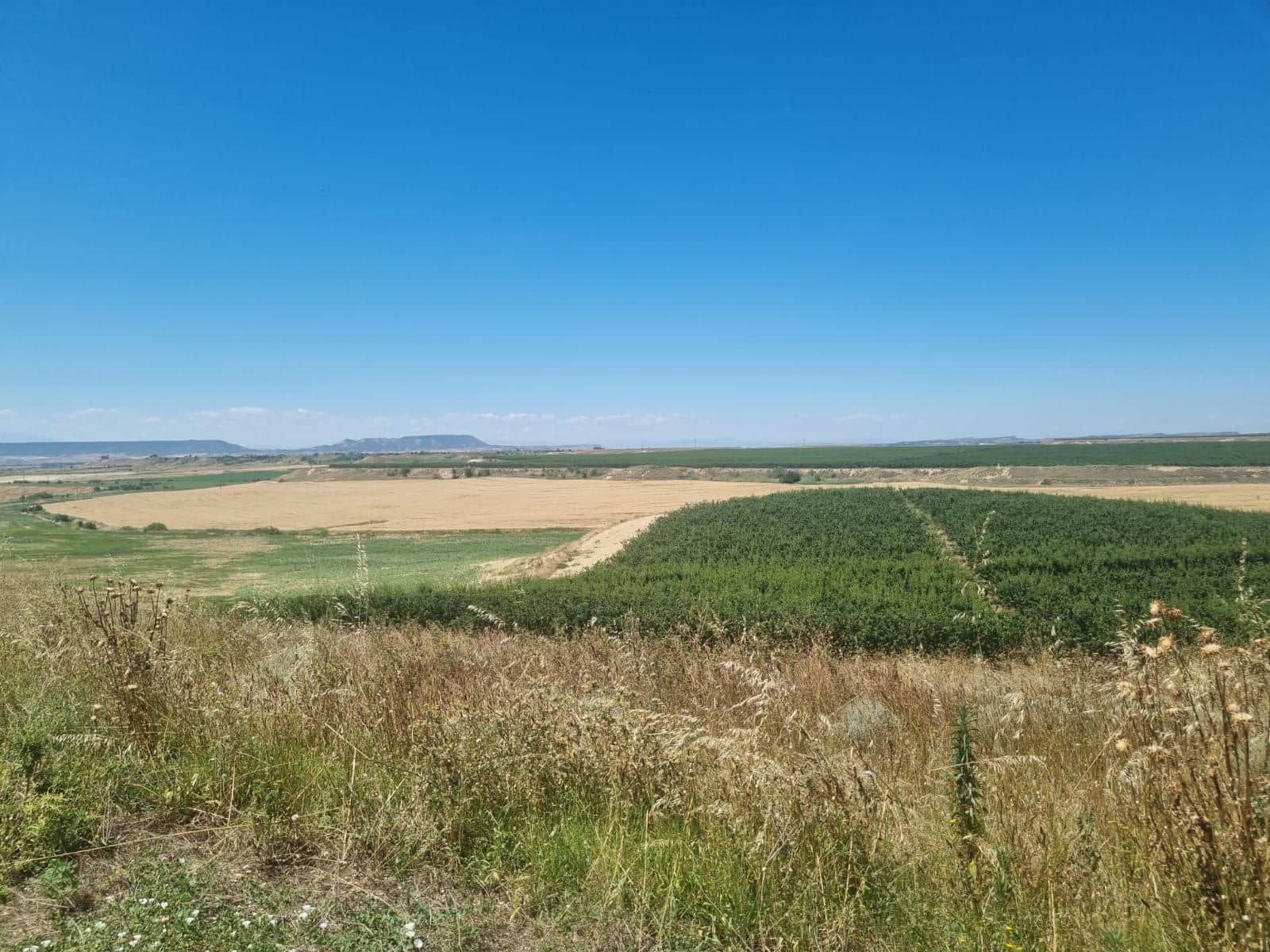 Finca/Casa Rural en Alhama de Murcia en venta - 920.000 € (Ref: 9495103)