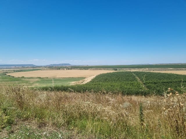 Finca/Casa Rural en Alhama de Murcia en venta - 920.000 € (Ref: 9495103)