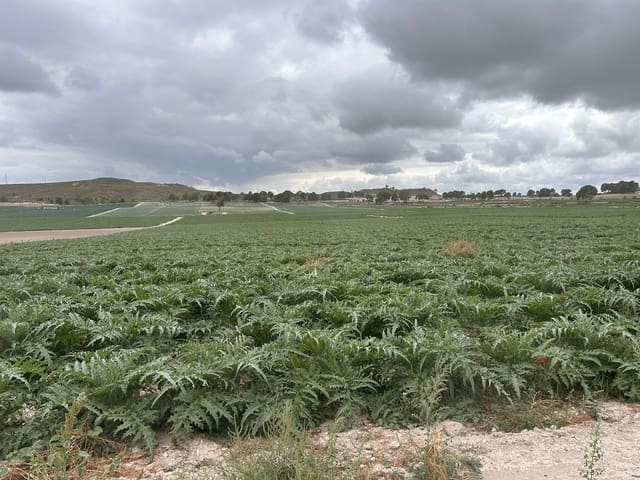 Finca/Casa Rural en Alhama de Murcia en venta - 920.000 € (Ref: 9495103)