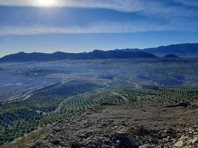 Finca/Maison de Campagne à vendre à Residencial Jardin Botanico, Malaga ville - 2 800 000 € (Ref: 9495104)