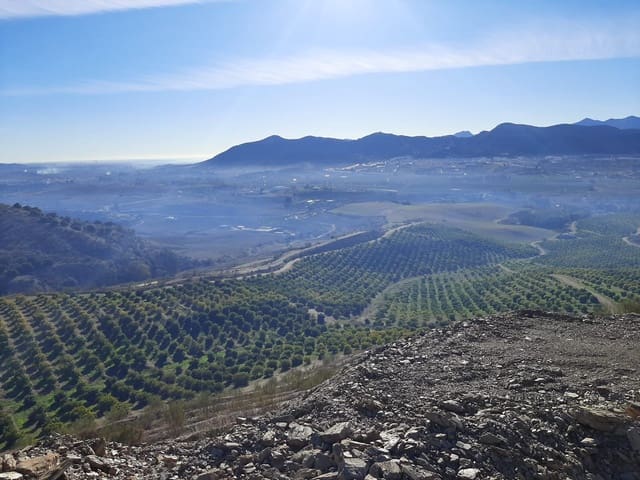 Finca/Maison de Campagne à vendre à Residencial Jardin Botanico, Malaga ville - 2 800 000 € (Ref: 9495104)