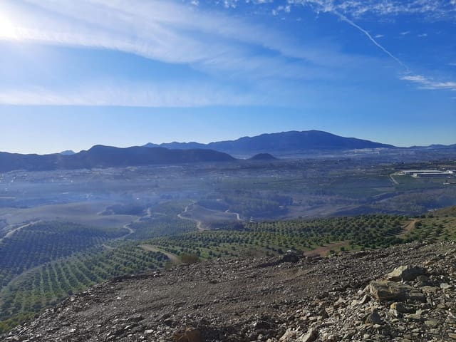 Finca/Maison de Campagne à vendre à Residencial Jardin Botanico, Malaga ville - 2 800 000 € (Ref: 9495104)