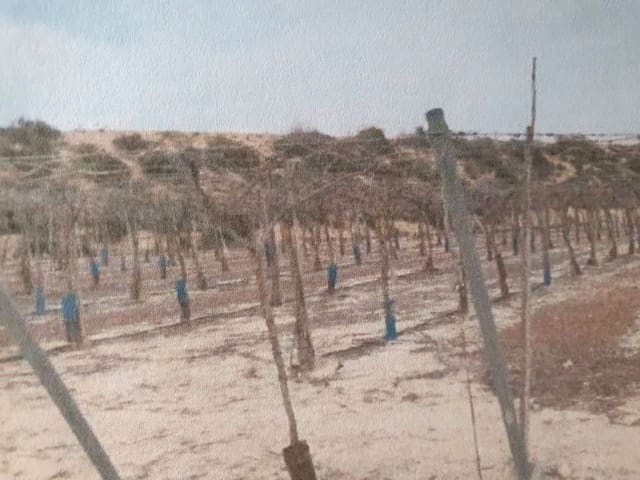 Finca/Country House for sale in Muchamiel / Mutxamel - € 14,000,000 (Ref: 9495107)