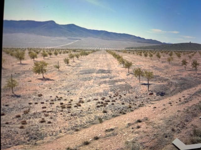 Finca/Herregård til salgs i Jumilla - € 4 000 000 (Ref: 9495108)