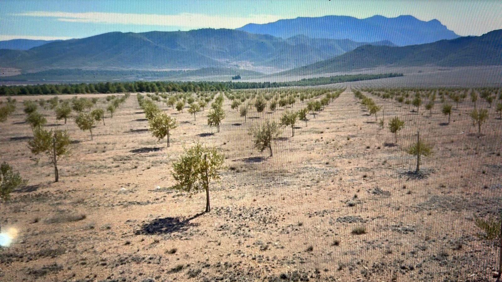 Finca/Country House for sale in Jumilla - € 4,000,000 (Ref: 9495108)