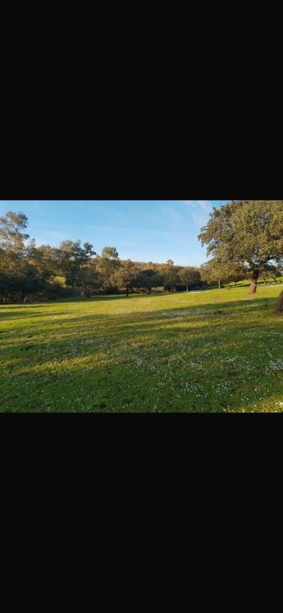 Finca/Country House for sale in Ossa de Montiel - € 4,000,000 (Ref: 9495111)