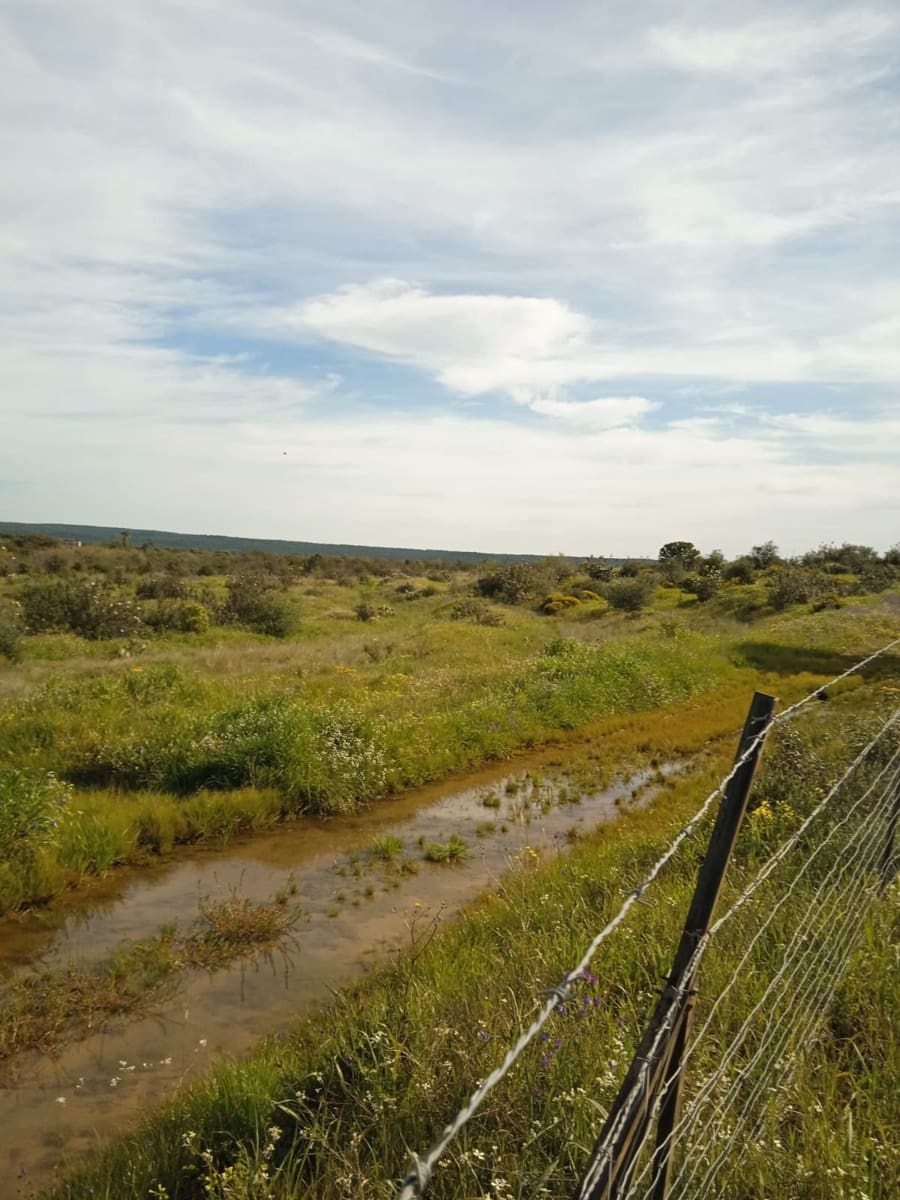 Finca/Country House for sale in Ossa de Montiel - € 4,000,000 (Ref: 9495111)