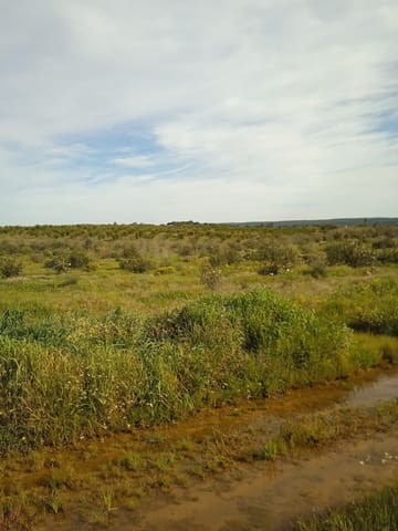 Finca/Casa Rural en Ossa de Montiel en venta - 4.000.000 € (Ref: 9495111)