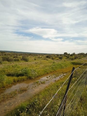 Finca/Casa Rural en Ossa de Montiel en venta - 4.000.000 € (Ref: 9495111)