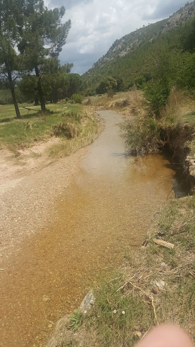 Finca/Country House for sale in Ossa de Montiel - € 4,000,000 (Ref: 9495111)