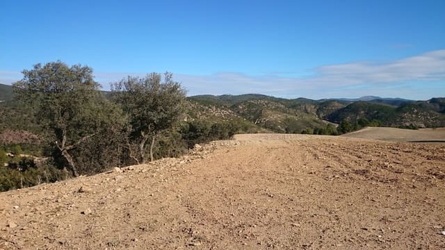 Finca/Casa Rural en Ossa de Montiel en venta - 4.000.000 € (Ref: 9495111)