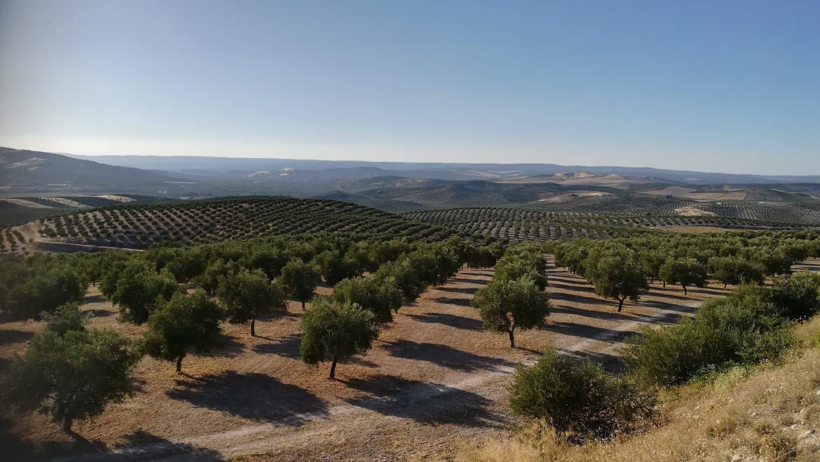 Finca/Country House for sale in Baza - € 3,500,000 (Ref: 9495112)