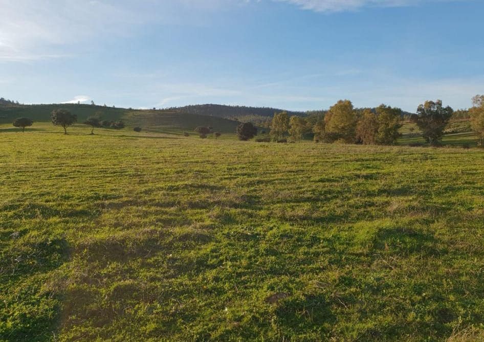 Finca/Herregård til leie i Cehegin - € 2 200 (Ref: 9495113)