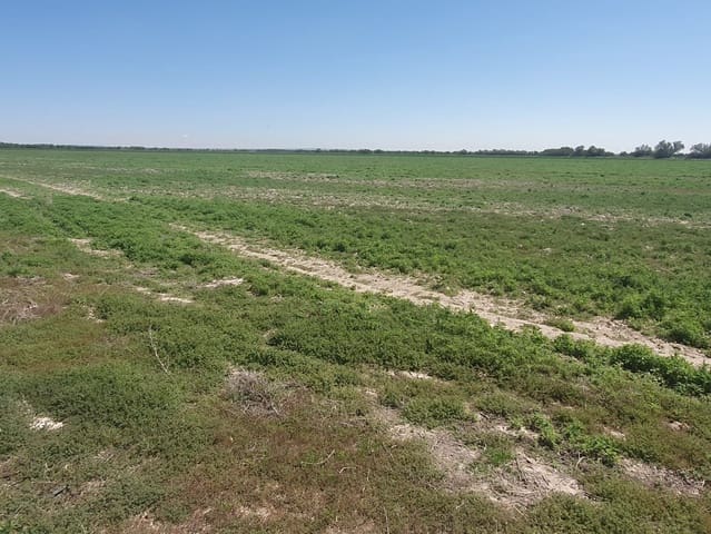 Finca/Herregård til leie i Cehegín - € 2 200 (Ref: 9495113)