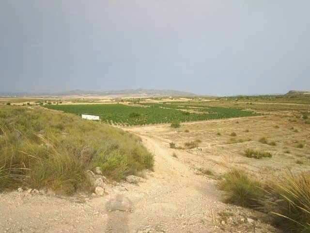 Finca/Country House for sale in Yecla - € 375,000 (Ref: 9495115)