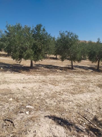 Finca/Herregård til salgs i Jumilla - € 3 000 000 (Ref: 9495116)