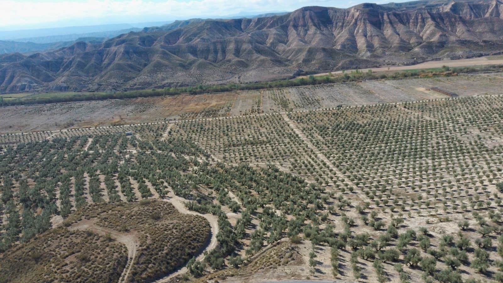 Finca/Country House for sale in Jumilla - € 3,000,000 (Ref: 9495116)