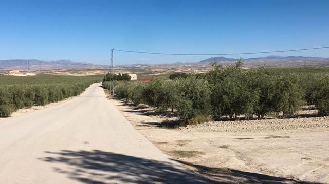 Finca/Country House for sale in Jaén city - € 10,500,000 (Ref: 9495118)