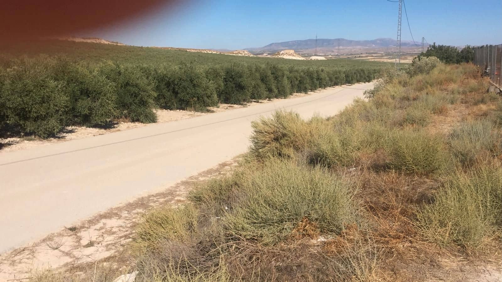 Finca/Country House for sale in Jaen city - € 10,500,000 (Ref: 9495118)