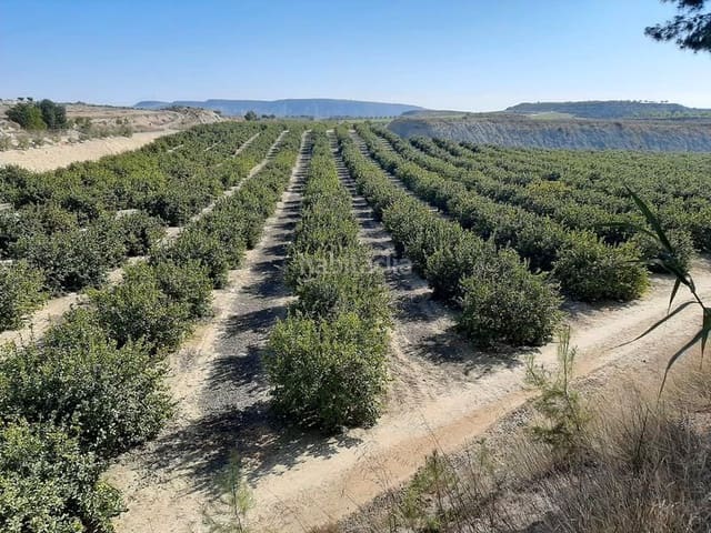 Finca/Landgut zu verkaufen in Paus - Poligono San Blas, Alicante / Alacant Stadt - 5.000.000 € (Ref: 9495119)