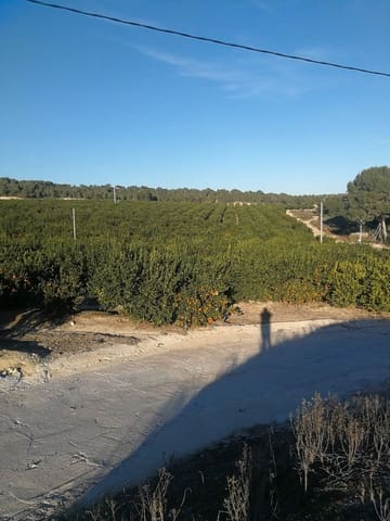Finca/Landgut zu verkaufen in Paus - Poligono San Blas, Alicante / Alacant Stadt - 5.000.000 € (Ref: 9495119)