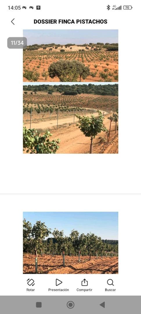 Finca/Herregård til salgs i Albacete by - € 4 000 000 (Ref: 9495120)