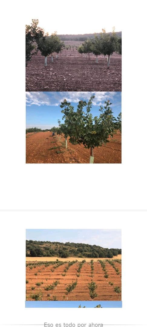 Finca/Herregård til salgs i Albacete by - € 4 000 000 (Ref: 9495120)