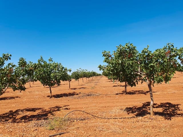 Finca/Country House for sale in Ciudad Real city - € 4,750,000 (Ref: 9495122)