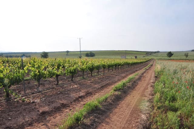 Finca/Country House for sale in Ciudad Real city - € 4,750,000 (Ref: 9495122)