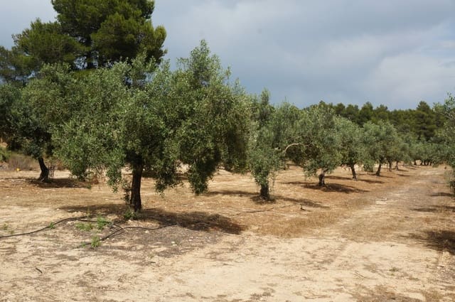 Finca/Landehus til salg i Moixent - € 750.000 (Ref: 9495124)