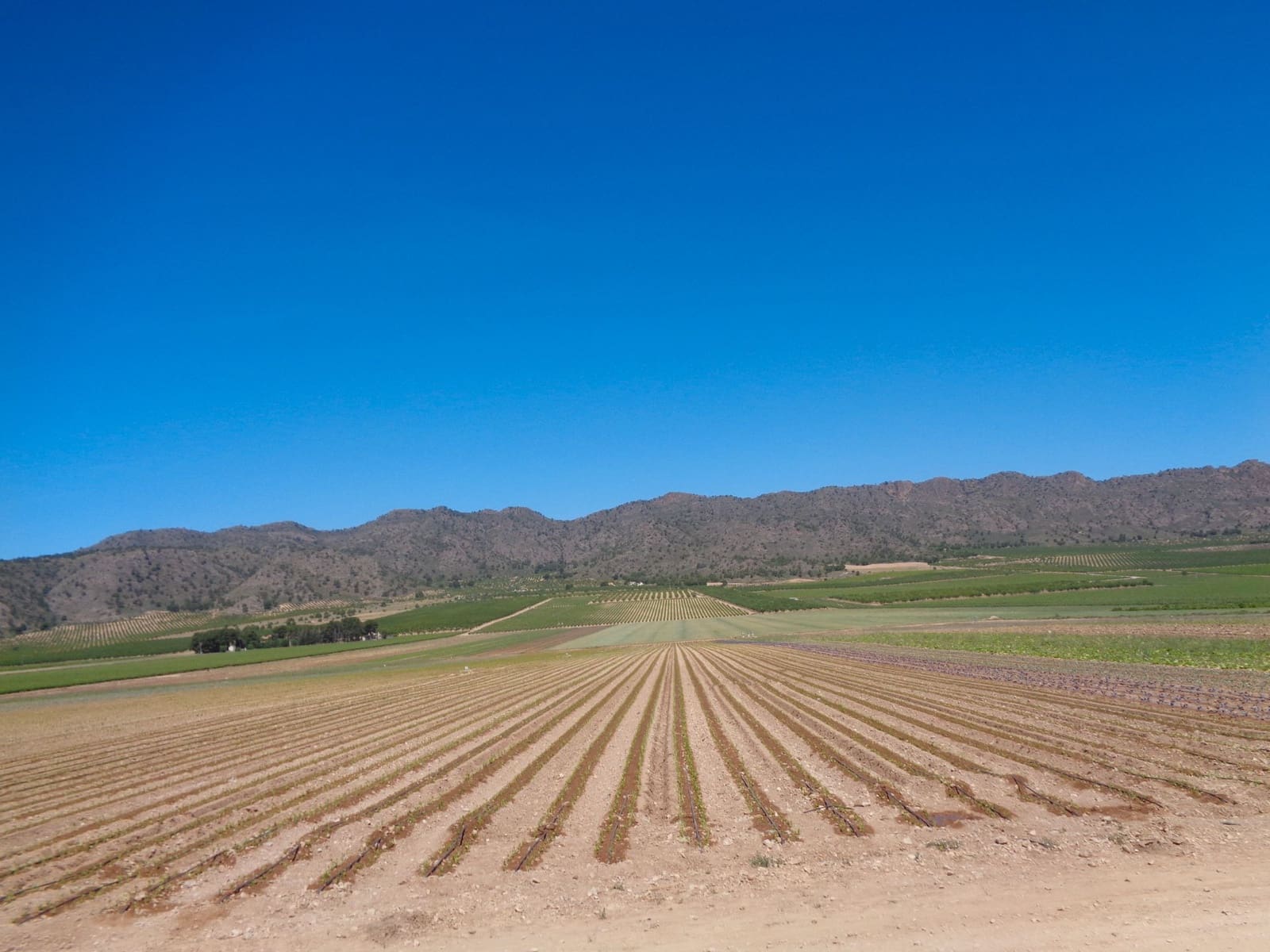 Finca/Country House for sale in Pesquera de Duero - € 6,810,000 (Ref: 9495125)