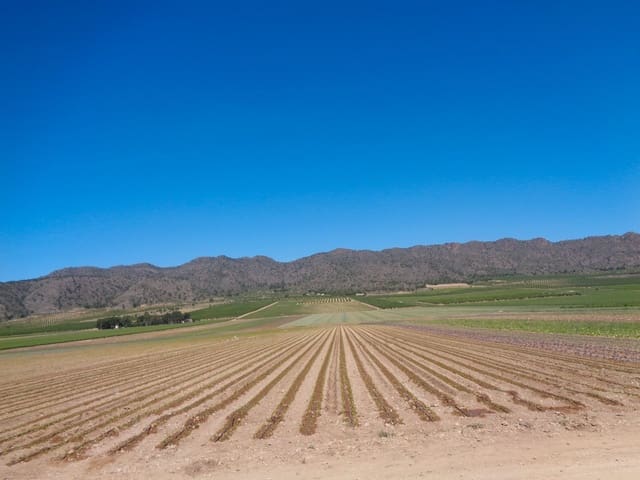 Finca/Country House for sale in Pesquera de Duero - € 6,810,000 (Ref: 9495125)