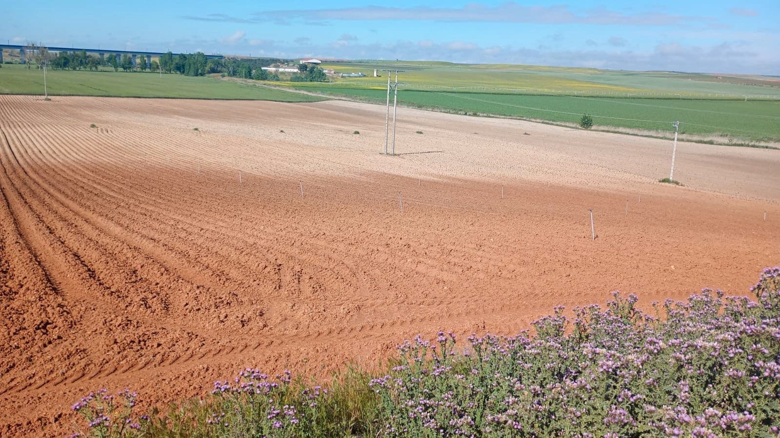 Finca/Casa di Campagna in vendita in Alcazar de San Juan - 9.000.000 € (Rif: 9516204)