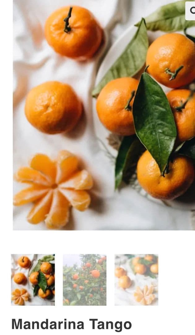 Finca/Landgut zu verkaufen in Orihuela - 1.650.000 € (Ref: 9571739)