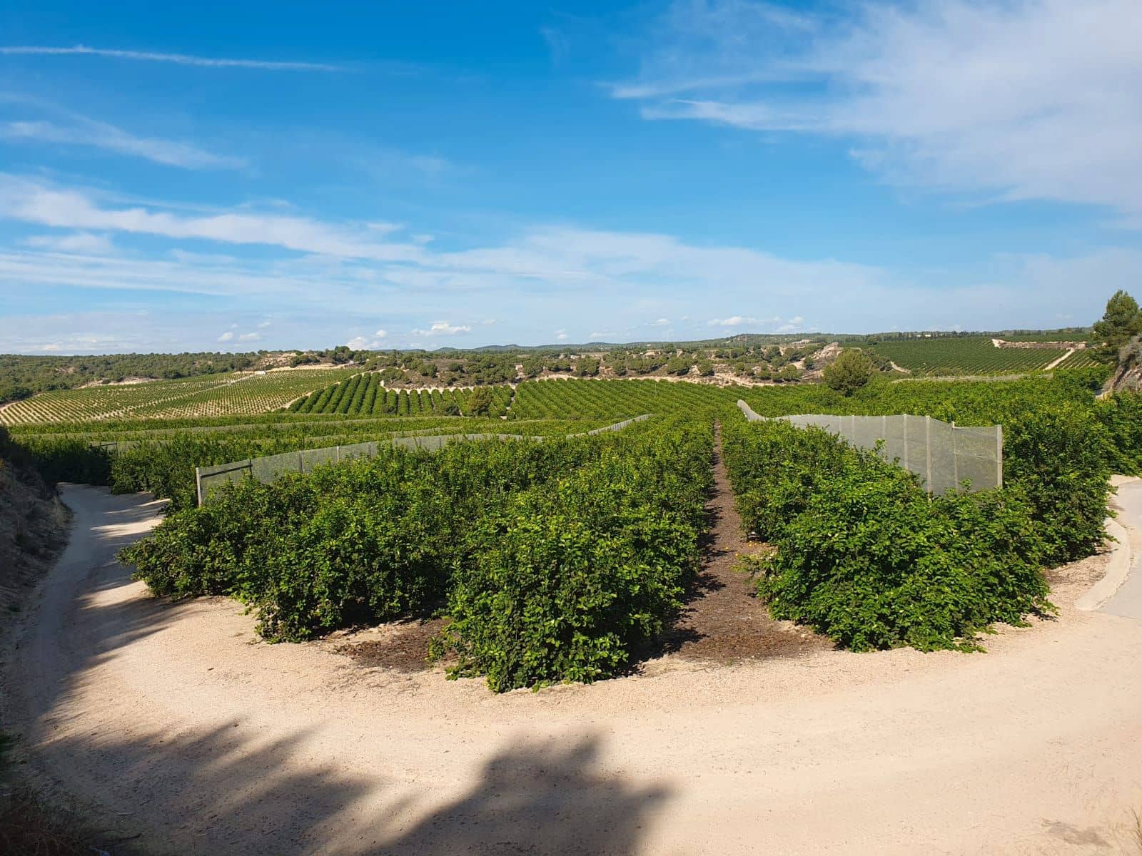 Finca/Landgut zu verkaufen in Orihuela - 1.650.000 € (Ref: 9571739)