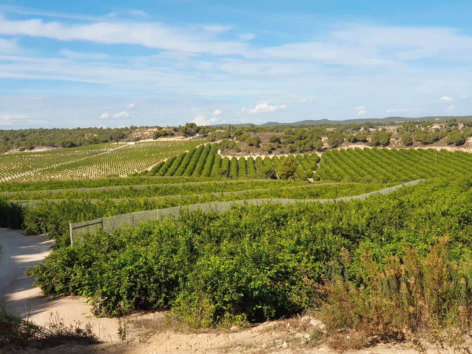 Finca/Landgut zu verkaufen in Orihuela - 1.650.000 € (Ref: 9571739)