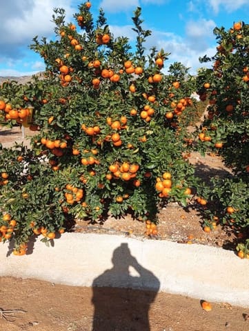 Finca/Hus på landet till salu i Corvera, Murcia stad - 3 000 000 € (Ref: 9598297)