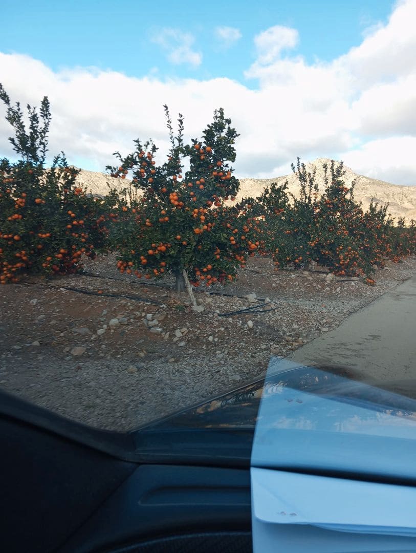 Finca/Country House for sale in Orea - € 13,000,000 (Ref: 9598298)