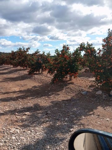 Finca/Country House for sale in Orea - € 13,000,000 (Ref: 9598298)