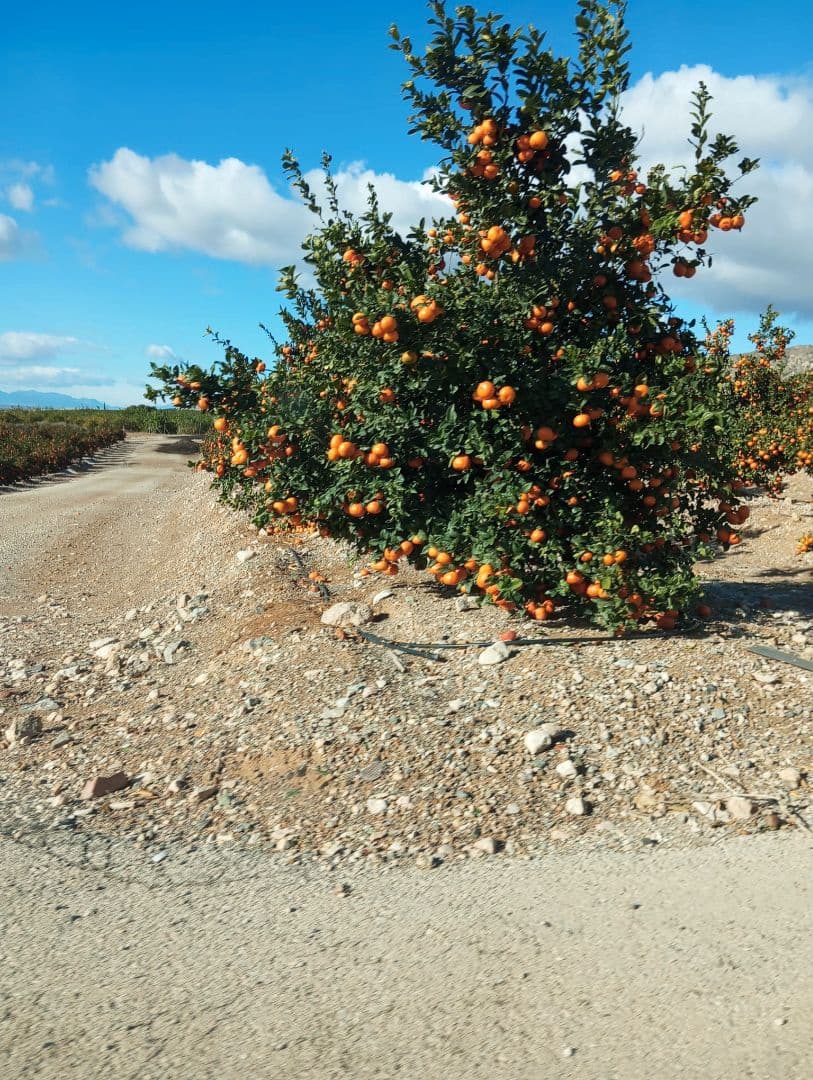 Finca/Country House for sale in Orea - € 13,000,000 (Ref: 9598298)